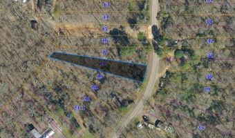 Sardis Lake Dr, Batesville, MS 30606