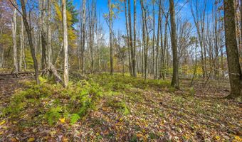 419 Algerine St, Afton, NY 13730