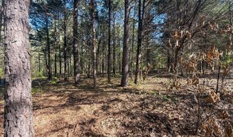 412823 E. 1910 Rd, Antlers, OK 74523