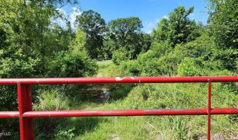3350 SE Mount Pleasant Ln, Bogue Chitto, MS 39629
