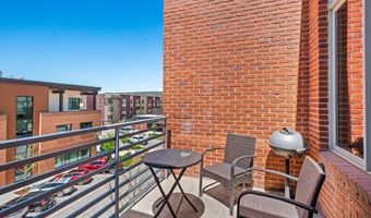 231 Robinson St 310, Basalt, CO 81621