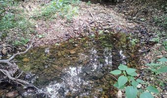 Farm Road 1245, Aurora, MO 65605