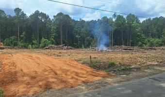 709 Old Pinola Braxton Rd, Braxton, MS 39044