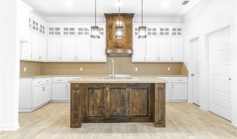 1005 Broken Arrow Dr, Alamo, TX 78516