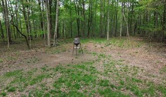 694 A Tunnel Ridge Rd, Argillite, KY 41121