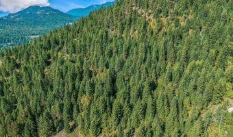 NKA Silver Creek Road, Clark Fork, ID 83811
