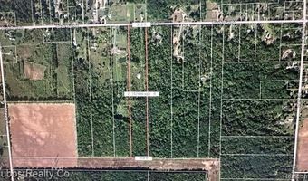 Birch Run Rd, Arbela, MI 48746