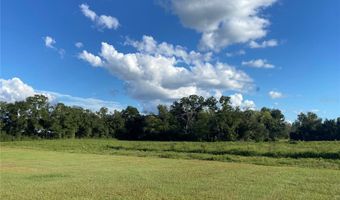 5559 SW 42ND Pl, Bell, FL 32619