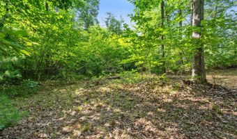 1125 39th St, Allegan, MI 49010