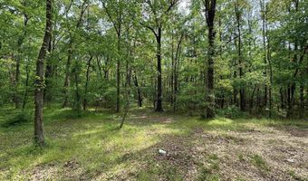 Tract 1 E Bay Road, Atkins, AR 72823