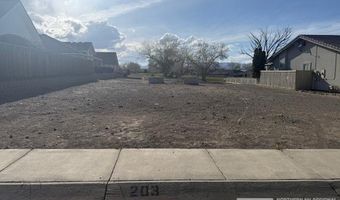 203 Mary Lou Ln, Fernley, NV 89408