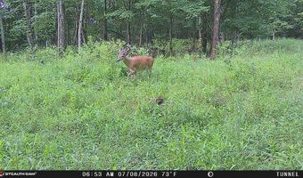 566 A Tunnel Ridge Rd, Argillite, KY 41121