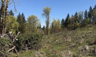 NW Hilltop Pl, Banks, OR 97106