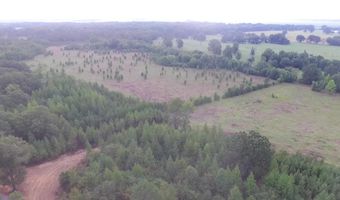 28 83acres 6th Pl, Atkins, AR 72823