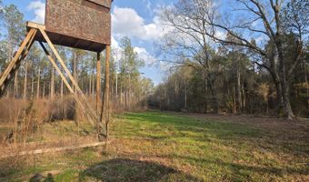 U.S. Highway 51, Bogue Chitto, MS 39629
