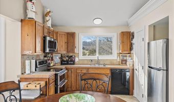 225 Mary Lamons Rd, Afton, TN 37616