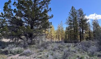 Glendale Drive 15, Beatty, OR 97621