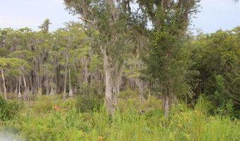 21558 NW Lake Mckenzie Blvd, Altha, FL 32421