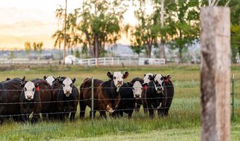 320 Mottsville, Gardnerville, NV 89460