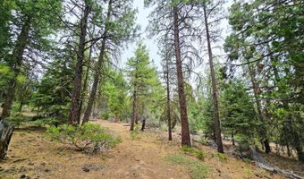 13559 Sparrow Dr, Bonanza, OR 97623