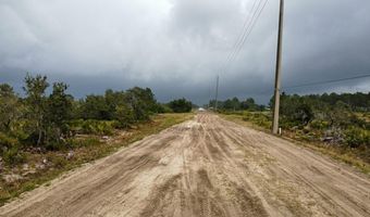 1028 S LANDRY Rd, Avon Park, FL 33825