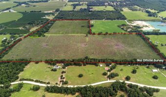 7009 129 Hwy, Bell, FL 32619