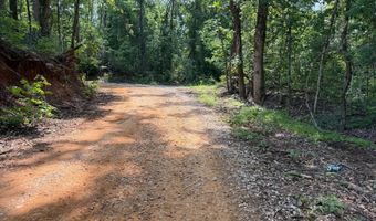 0 County Road 217, Blue Springs, MS 38828