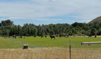 ID-75, Bellevue, ID 83313
