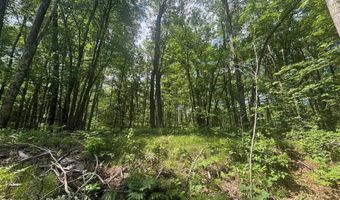 SWAN BAY Road 6, Amberg, WI 54102