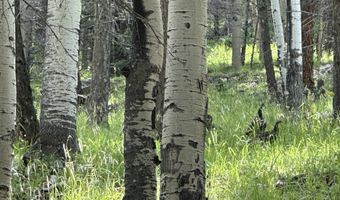 Lot 577 El Camino Real, Angel Fire, NM 87710