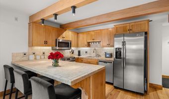 914 Waters Ave 20, Aspen, CO 81611