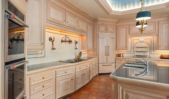 425 W North St, Aspen, CO 81611