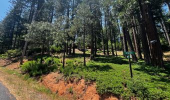 2904 Venado Dr, Arnold, CA 95223