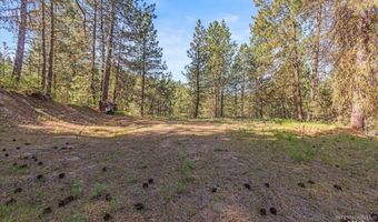 1 Sunset Trl, Banks, ID 83602