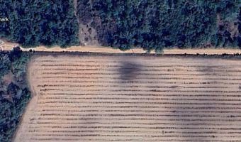 0 Day, Bainbridge, GA 39817