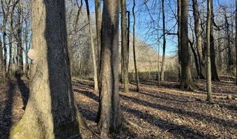 6075 Curtis Rd, Batesville, MS 38606