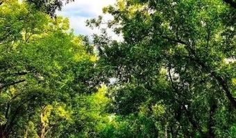 2621 Silver Leaf Ln, Anna, TX 75409