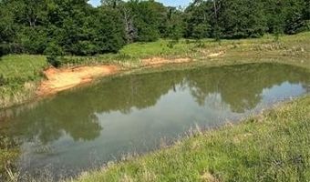 8494 E Nightingale, Atoka, OK 74525