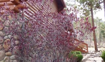 10 County Road 2074, Alpine, AZ 85920