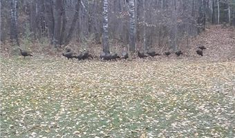 59971 Cloverdale Rd, Askov, MN 55704