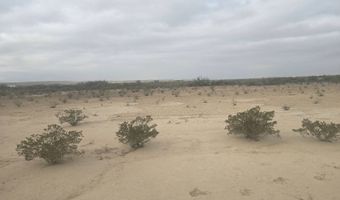 15957 S Bad Bunny Run, Alpine, TX 79830