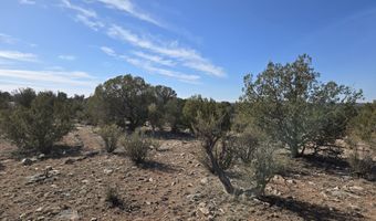376 D Haywire, Ash Fork, AZ 86320