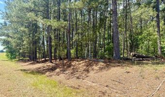 1983 Minton Chapel Rd, Bartow, GA 30413