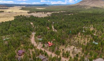 9 Co Rd 2074 # 2074, Alpine, AZ 85920