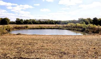 33415 S State Rt T Hwy, Archie, MO 64725