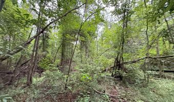 0 LA Hwy 442, Albany, LA 70711