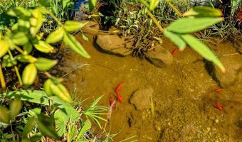 470 W Duarte B, Arcadia, CA 91007