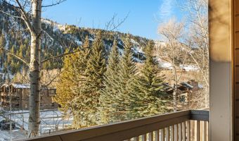 610 S West End St D304, Aspen, CO 81611