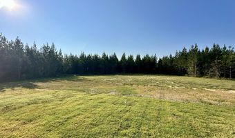 742 Freedom Ridge Ln, Brandon, MS 39047