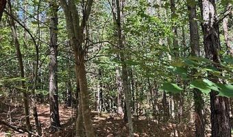Piney Mountain Rd, Appomattox, VA 24522